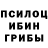 Галлюциногенные грибы Cubensis Saaaaaaaaszzzz