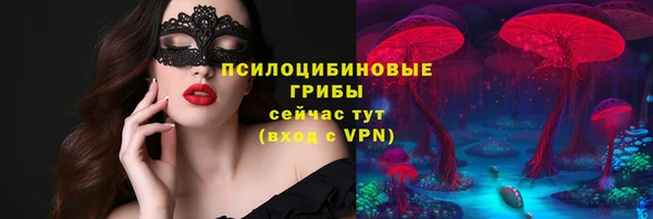 ПСИЛОЦИБИНОВЫЕ ГРИБЫ Алексин