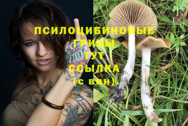 мефедрон Алексеевка