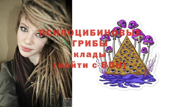 ПСИЛОЦИБИНОВЫЕ ГРИБЫ Алексин